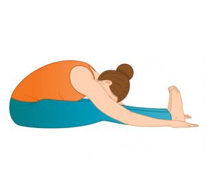 Paschimottanasana - Seated Forward Bend pose